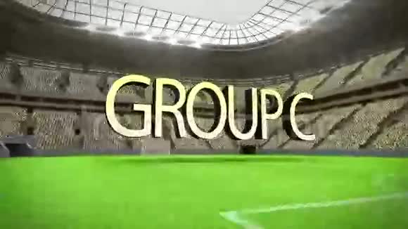 丙组世界杯动画视频的预览图