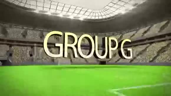 组G世界杯动画视频的预览图