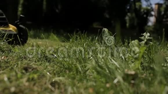 女孩正赤脚用黄色的割草机修剪一块凹凸不平的草坪视频的预览图