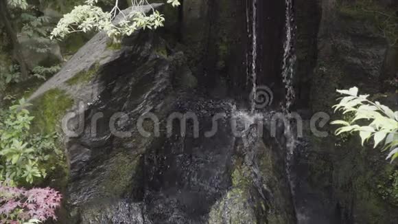 小瀑布倾泻在苔藓石溅上视频的预览图