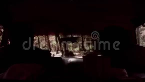 夫妇驾车穿过树林后景视频的预览图