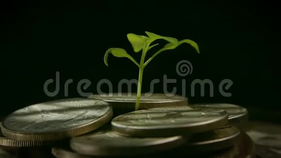 从硬币里喷出货币增长增加概念视频的预览图
