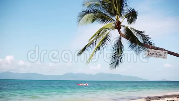 热带岛屿度假阳光明媚天空湛蓝海边的异国沙滩和棕榈树1920x1080视频的预览图