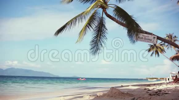 阳光明媚天空湛蓝海边的异国沙滩和棕榈树1920x1080视频的预览图