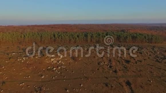 鸟瞰森林乌克兰喀尔巴阡山脉视频的预览图