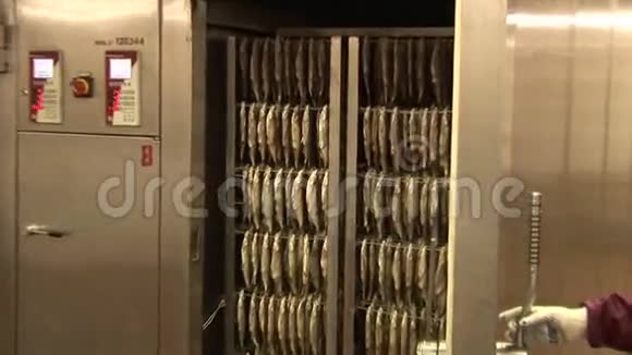 鱼类加工厂冷热熏鱼视频的预览图