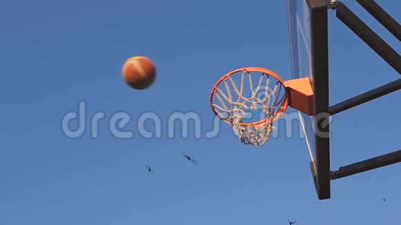 球进入篮篮篮球视频的预览图