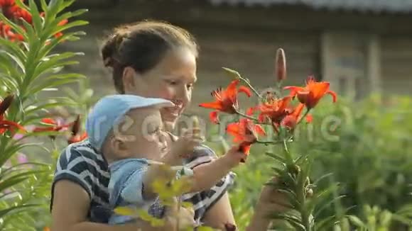 年轻的母亲和她美丽的男孩在他家附近抚摸鲜花儿子聚精会神地看着这些植物视频的预览图