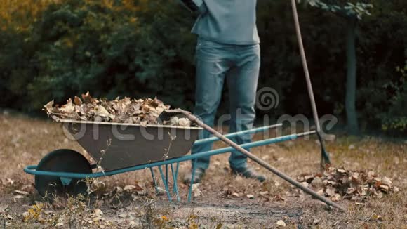 花园工人在寒冷的天气里用耙子耙干花园里的树叶视频的预览图