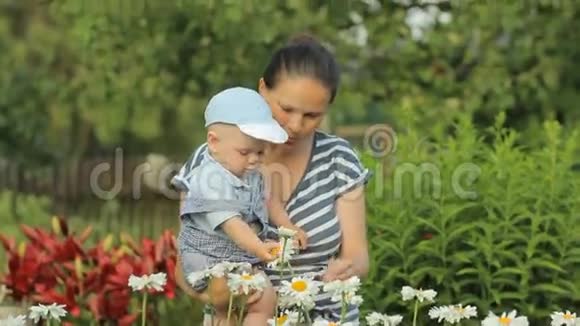 年轻的母亲和她美丽的男孩在他家附近抚摸鲜花儿子聚精会神地看着这些植物视频的预览图