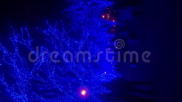 东京原宿街头的蓝色灯光视频的预览图