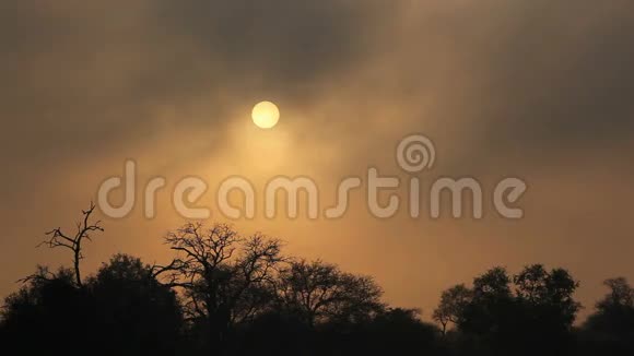 日出时飘散的薄雾视频的预览图