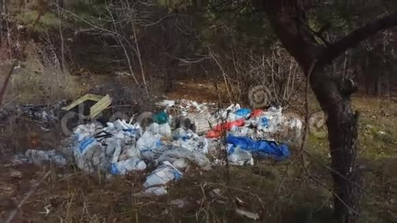 松林中的垃圾场视频的预览图