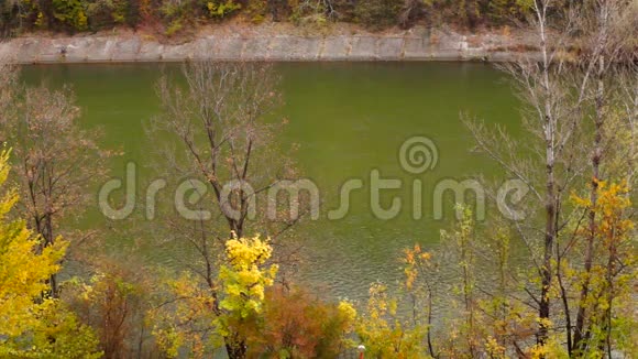 十一月的山景与树梢和河流一起倾斜视频的预览图
