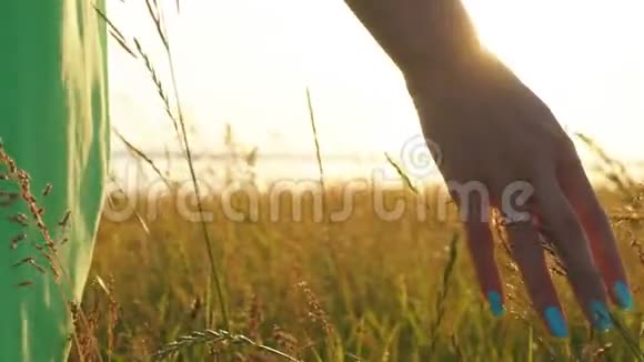 在草地的日落时分用手触摸麦穗视频的预览图