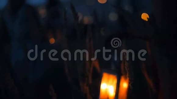 美丽的女孩走在田野里手里拿着蜡烛灯笼视频的预览图