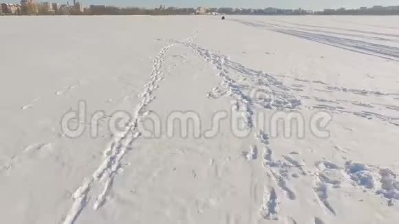 冬天的乐趣乘雪车旅行两个人骑着雪车在冰冻的湖冰上视频的预览图