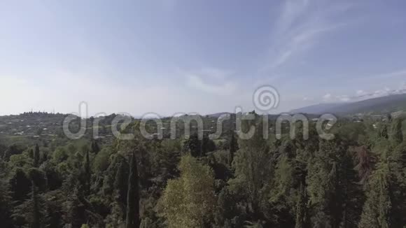 夏季有树木灌木和青山的美丽山谷的无人机照相机视频的预览图