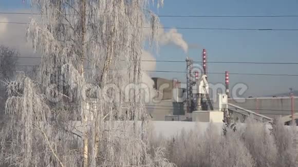 白雪皑皑的树靠近烟囱有白色的烟视频的预览图