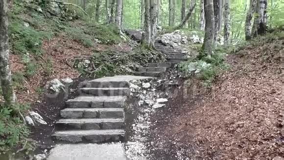 斯拉夫卡瀑布小径博欣吉斯洛文尼亚114046视频的预览图