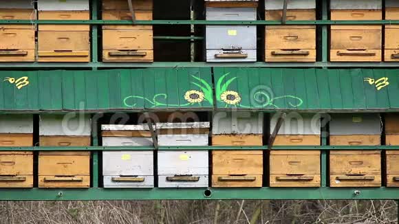 蜂巢农业视频的预览图