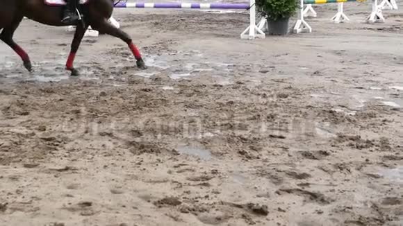 马脚在泥上奔跑慢节奏视频的预览图