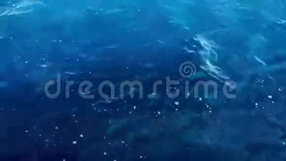 蓝色海水从船上经过视频的预览图