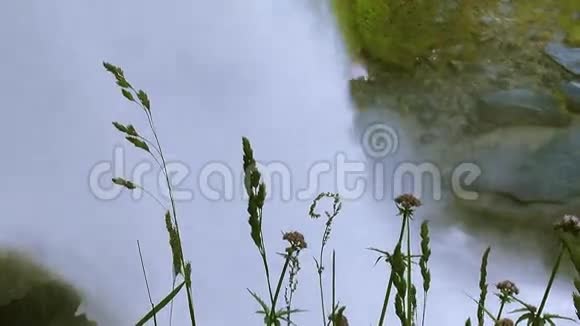 绿草如茵的风瀑布的瀑布溅在背景上夏日喷洒自然视频的预览图