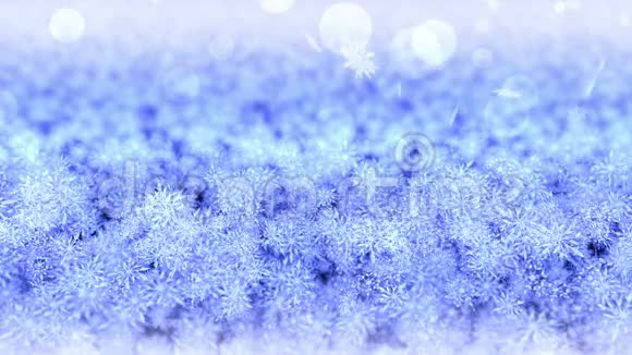 美丽的冬季景观雪晶场景背景圣诞节雪花阳光下的雪林CG循环动画视频的预览图