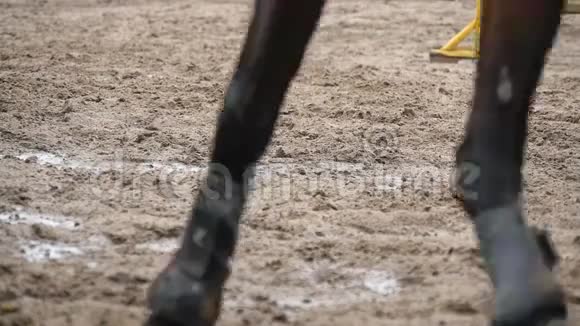 马脚在泥上奔跑慢节奏视频的预览图
