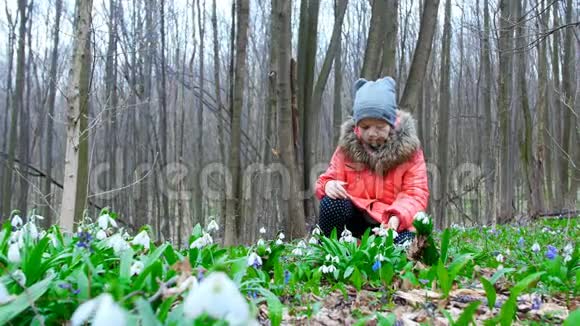 一个美丽可爱的小女孩喜欢在春天的森林里绽放的雪花视频的预览图