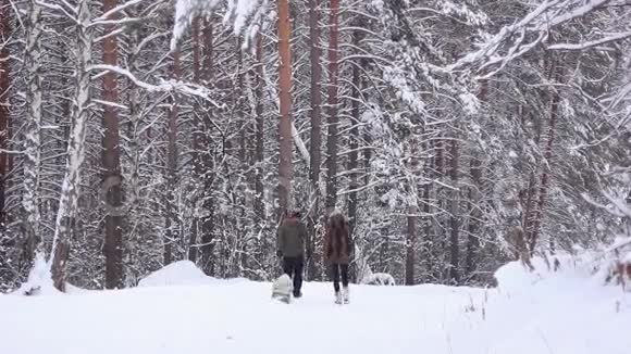 人们在冬天的树林里散步视频的预览图