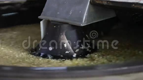 鱼罐头厂视频的预览图