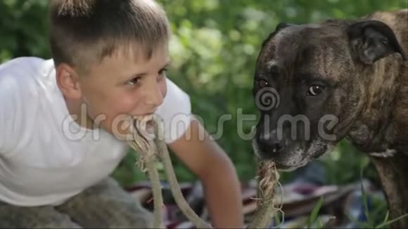 公园里有斯塔福德郡的一个男孩特写一个带狗的孩子的肖像视频的预览图