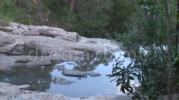 在水坑上的花岗岩与森林的反射视频的预览图