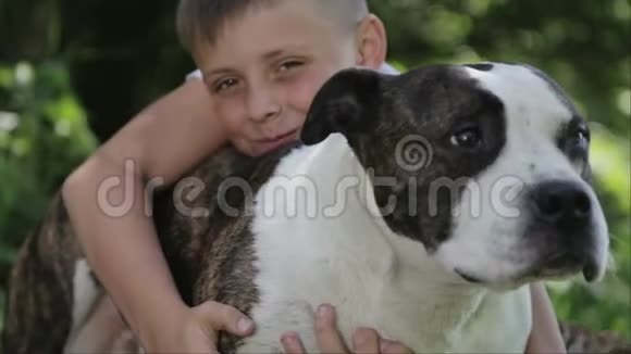 公园里有斯塔福德郡的一个男孩特写一个带狗的孩子的肖像视频的预览图