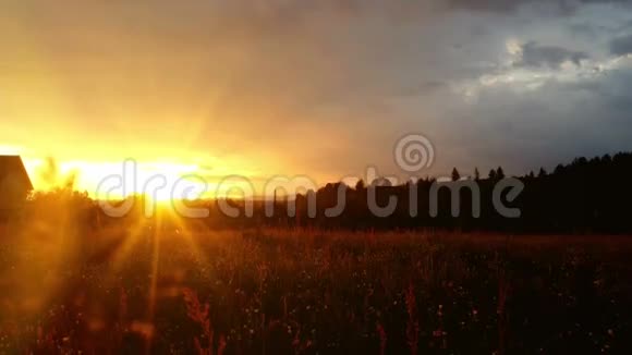 乡村绿色草地上神奇的日落视频的预览图