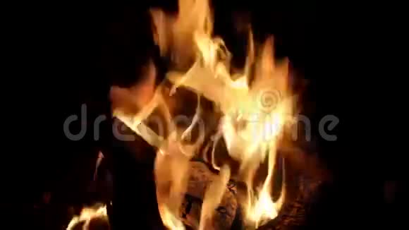 篝火中燃烧的木头视频的预览图