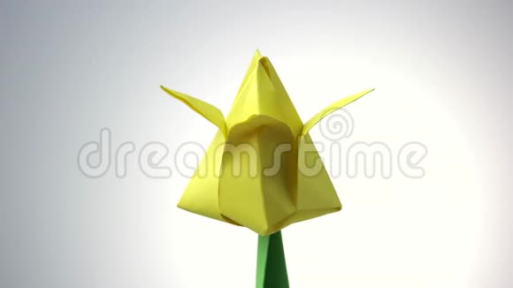 黄色折纸花郁金香视频的预览图
