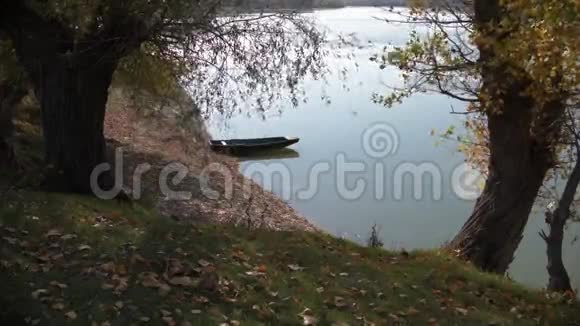 树旁的湖水上的旧木船视频的预览图