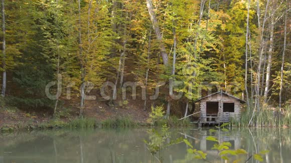 在树林里的湖边小屋视频的预览图
