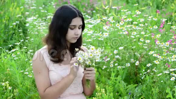 美丽的女孩在草地上捧着一束雏菊视频的预览图
