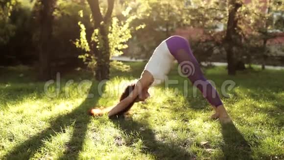 在阳光明媚的早晨在草坪上做瑜伽和普拉提练习视频的预览图