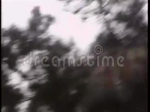 混沌树顶的低角度视角视频的预览图