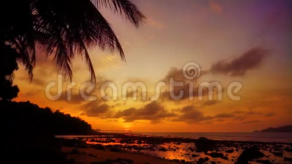 浪漫的海洋日落与棕榈叶视频的预览图