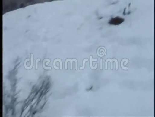 在白雪覆盖地区行走的人的视角视频的预览图