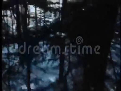 在树林中行走的人的视角视频的预览图