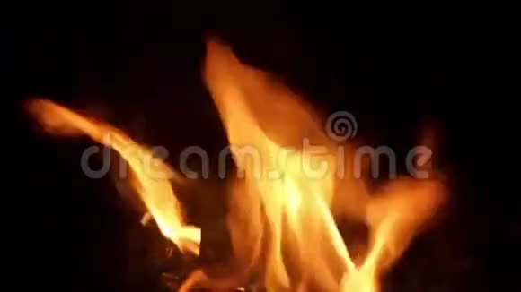 篝火中燃烧的木头视频的预览图