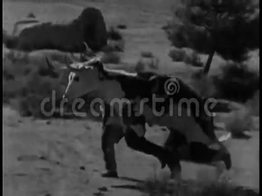 两名身穿牛皮服装的男子在风景中奔跑的侧景视频的预览图