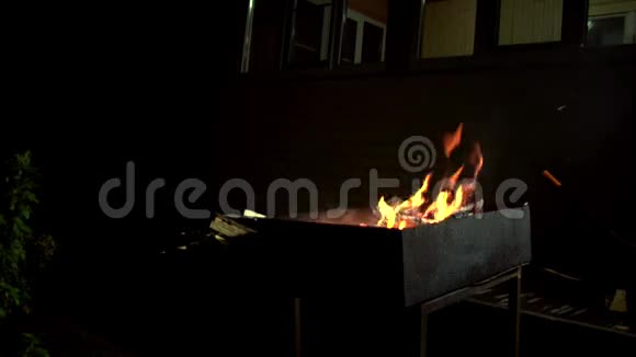 小屋后院的奢华烧烤火视频的预览图